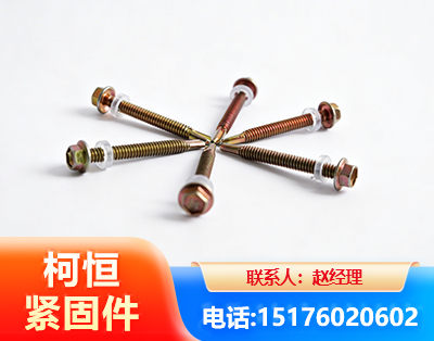 铜仁六角钻尾丝